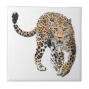 Buscar animales azulejos Color