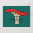 Buscar mushroom postales Mágica