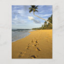 Buscar playa de puerto rico postales Escénico