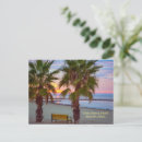 Buscar alicante postales Palmeras