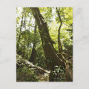 Buscar opinión postales Naturaleza