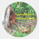 Buscar buenos amigos pegatinas Bff