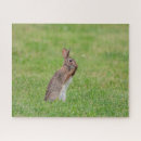 Buscar aspecto puzzles Adorable