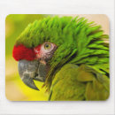 Buscar barba alfombrillas de raton Animal