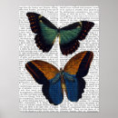 Buscar mosca posters Animales
