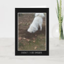 Buscar cavador tarjetas Perro