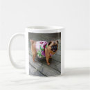 Buscar griffon de bruselas tazas Para todos