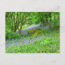 Buscar yorkshire fotografía Azul