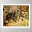 Buscar de gatos posters Gatitos
