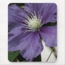Buscar clematis alfombrillas de raton Naturaleza