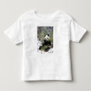 Buscar sichuan ropa Panda