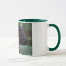 Buscar pollos polacos tazas Café