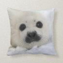 Buscar foca cojines Sello