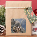 Buscar apache pegatinas Geronimo