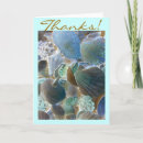 Buscar beach tarjetas Conchas