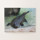 Buscar cocodrilo puzzles Animal