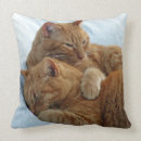 Buscar amor de la hermana cojines General y unisex