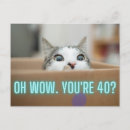 Buscar caja de cartón postales Gatito