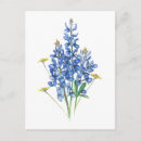 Buscar correo electrónico postales Floral