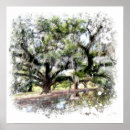 Buscar robles arte Roble vivo
