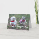 Buscar penique tarjetas Perro