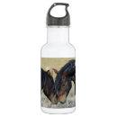 Buscar caballo agua botellas Caballos salvajes