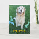 Buscar de recuperación tarjetas Perro