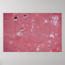 Buscar arquitectos posters Construcción