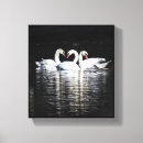 Buscar cisnes lienzos Agua