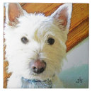 Buscar westie azulejos Animal
