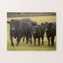 Buscar bovino puzzles Granja