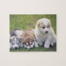 Buscar raza del perro puzzles Horizontal