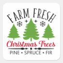 Buscar árboles frutales etiquetas Invierno