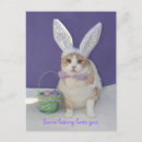 Buscar gatito de pascua postales Humor