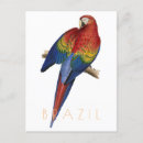 Buscar brazil postales Viajar