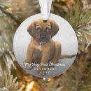 Buscar regalos Elegante