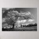 Buscar el soplar fotografía Nubes
