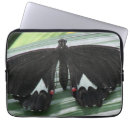 Buscar tropical mariposas fundas Para todos