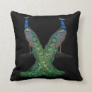 Buscar peacock cojines Pavos reales