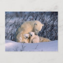 Buscar madre naturaleza postales Invierno