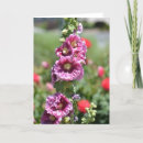 Buscar inspirado tarjetas Flores