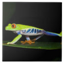 Buscar costa rica posavasos Vida silvestre