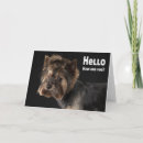 Buscar hola perritos tarjetas Cachorro