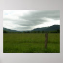 Buscar ahumado posters Verde