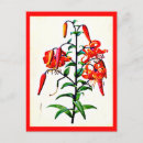 Buscar pierre joseph redoute postales Rojo