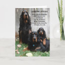 Buscar perro nacional tarjetas Animal