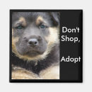 Buscar adopte un perro imanes Perros