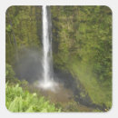 Buscar hawaii pegatinas Tropical
