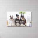 Buscar miniatura lienzos Interior