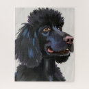 Buscar perro de caniche Negro